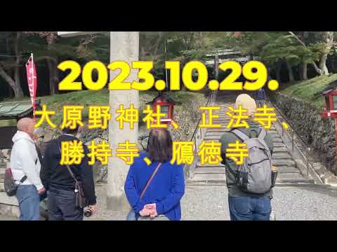 2023 10 29 Santuário Oharano Templo Shohoji Templo Shojiji