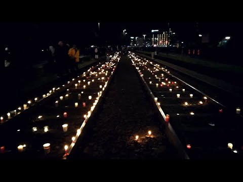 Nachbericht zur Großdemonstration in Leipzig am 07.11.2020