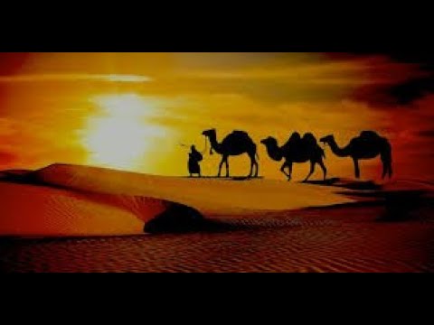 Seerah 2021 - Class 82 - Battle of Khandaq (Pt 2)- Battle Begins