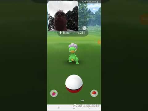 Último Dia da comunidade do Ano 2019