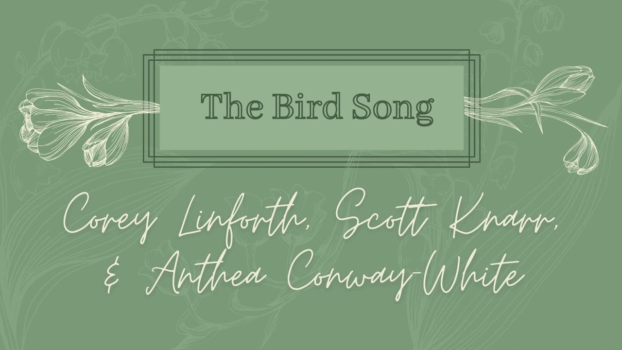 Promotional video thumbnail 4 for Corey Linforth