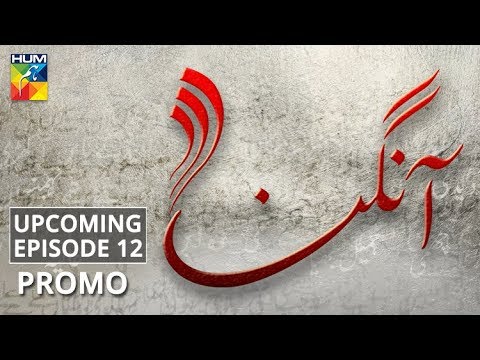 Aangan | Upcoming Episode #12 | Promo | HUM TV | Drama