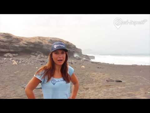 Beach Vigocho | Holiday on Fuerteventura