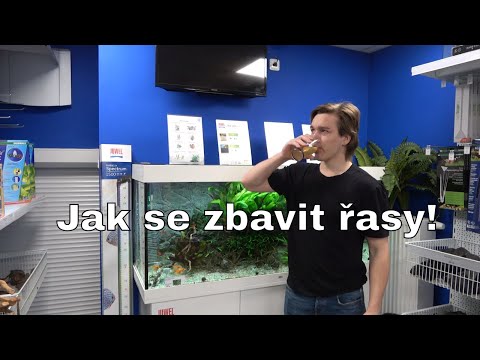 download lagu mp3 mp4 Zelena Prachova Riasa, download lagu Zelena Prachova Riasa gratis, unduh video klip Zelena Prachova Riasa