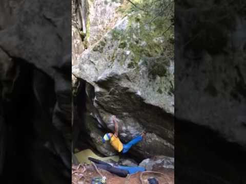 Ill Trill 8B+ - Magic Wood