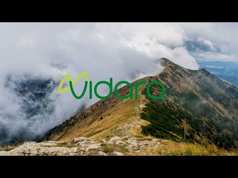 Vídeo - 