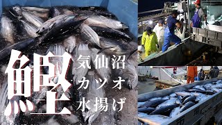 気仙沼カツオの水揚げ | 朝の魚市場に行ってきた