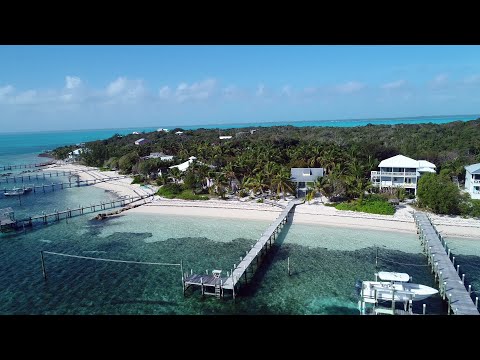 Green Bananas | Lubbers Quarters | Abaco, Bahamas