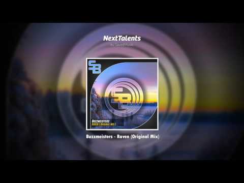 Buzzmeisters - Raven (Original Mix)