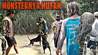 Download lagu Hunting for the monster monitor lizard that lives in the Bojonegoro forest mp3