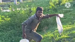 కుర్రకారు చేపల వేట చూడండి 🐠🐟🤔🤔🤔