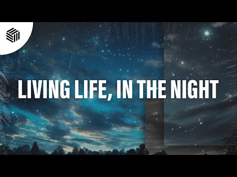 Cuervo, Blaze U & Niccin - Living Life, In The Night (Techno Remix)