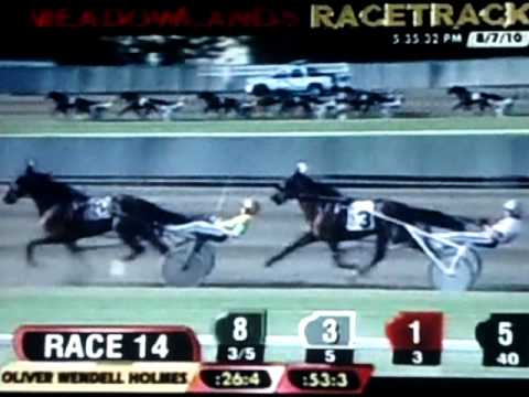 2010 Hambletonian Day - Race 14 - Oliver Wendell Holmes