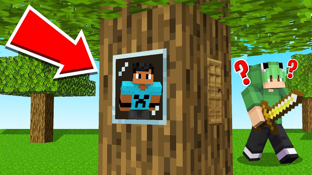 ENGANEI 2 PESSOAS com PASSAGEM SECRETA no ESCONDE-ESCONDE