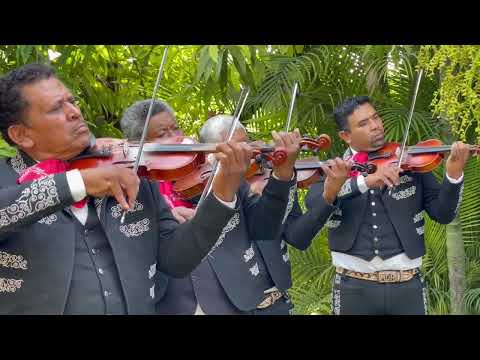 CIEN OVEJAS / Mariachi Misioneros del Rey