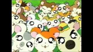Sigla Hamtaro-piccoli criceti, grandi avventure /By Cartooonsong/