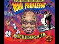 Mad Professor - Dry Wood Dub