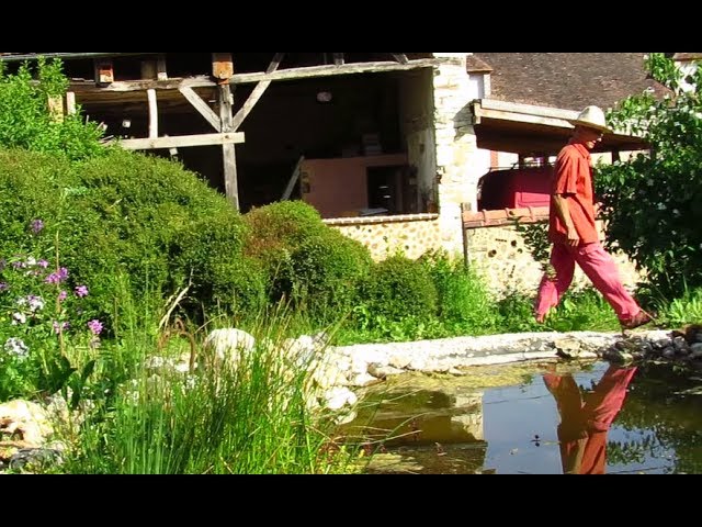 Lysimachia nummularia videó kiejtése Angol-ben