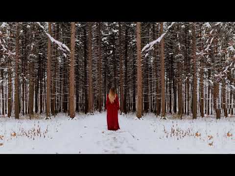 Marian Closca - Ladybird (Original Mix) [Trancer Recordings]