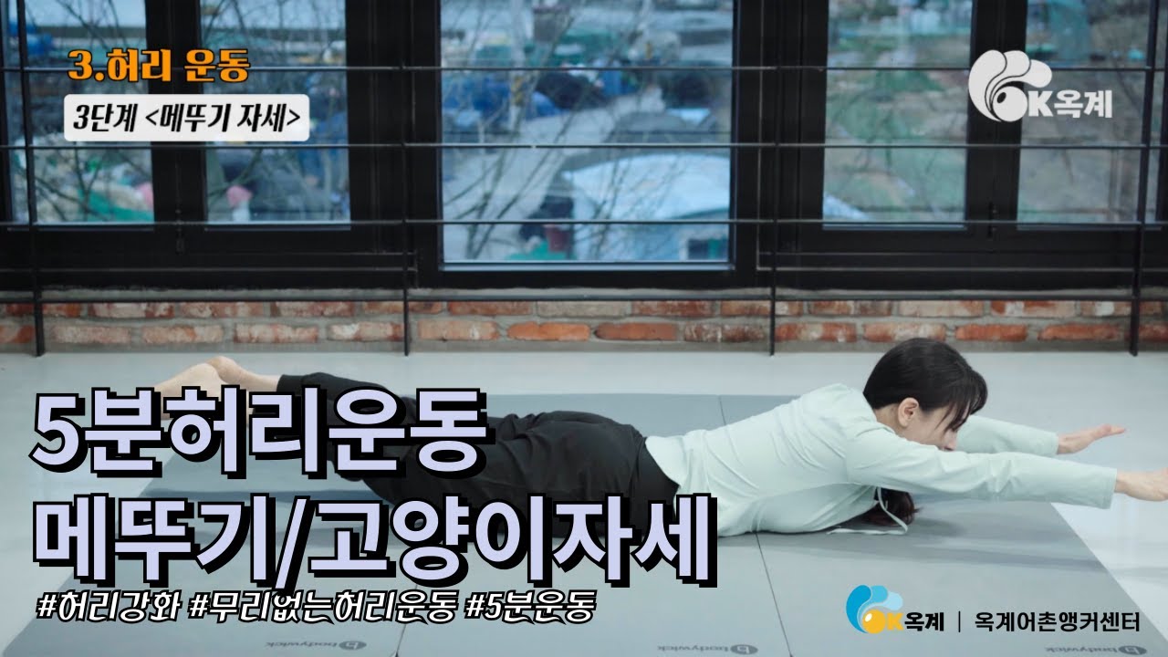 건강한 허리를 위한 5분 투자! 따라해보세요 메뚜기자세/고양이자세/허리운동/요가스트레칭