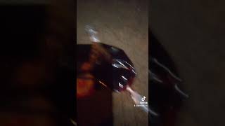 Download lagu TIKTOK STORY WA' ANGGUR MERAH🍷 mp3 Download lagu TIKTOK STORY WA' ANGGUR MERAH🍷 mp3