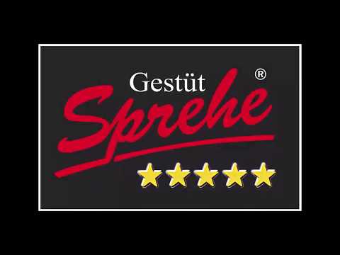 Galaxy Hengstvorführung 2020