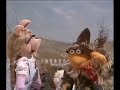The Muppets Go To The Movies Wizard Of Oz Muppet Songs