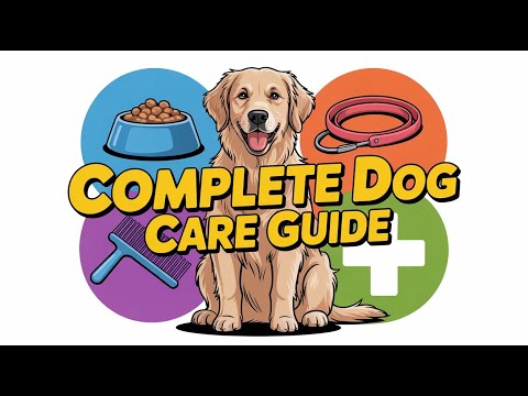 How to Care for Dogs: Complete Beginner’s Guide (Feeding, Health, Training & Setup)