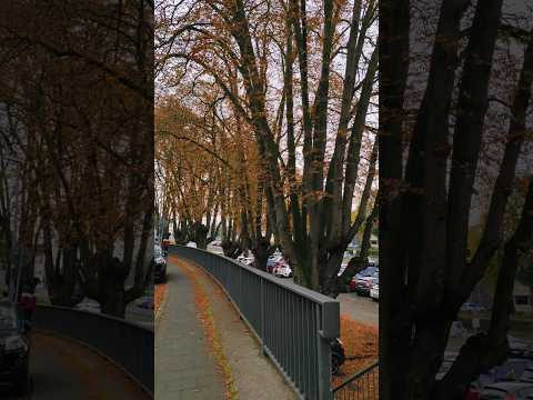 Königswinter#Drachenburg Schloss #Deutschland Life Stories #germany#Bonn#shortsvideo