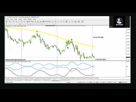 Video Spartan Arrows