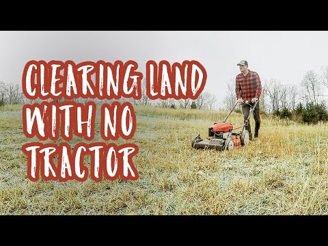Clearing Raw Land with NO TRACTOR or POWER TOOLS | Golden Arrow Homestead