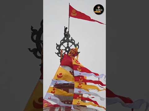 Flag Changing Retual of Shree Jagannath at Puri 🙌🏽🙏🏽😲 #shortsvideo #youtubeshorts #shortsfeed #short