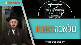הרב מנחם מנדל פומרנץ | דקה מתורתו של רבינו האלשיך הקדוש - יום א' פרשת ויקהל • מלאכה בשבת •