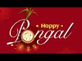 Happy Pongal Status Happy Pongal Wishes With Quotes Pongalo Pongal Pongal Pongal2023 Shorts
