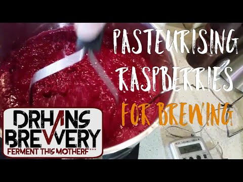 Pasteurizing  raspberries for my wild raspberry wheat beer.