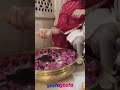 Radhika Madan Hot Radhika Madan Dance Shiddat Movie SeetaGeeta