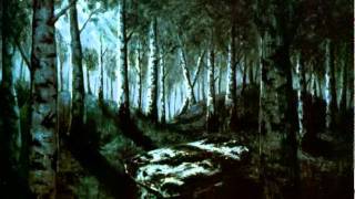 Burzum - Die Liebe Nerpus'