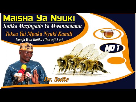 DR. SULLE | MAISHA YA NYUKI  KATIKA MAZINGATIO YA MWANAADAMU NO 1 | TOKEA YAI MPAKA NYUKI KAMILI