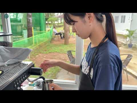 Сургуулийн видео