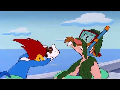 Woody Woodpecker s01e104