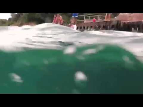 Aventureiro. Nadando c Gaia e Sarah. Atropelada