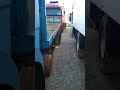 Reproduce el video