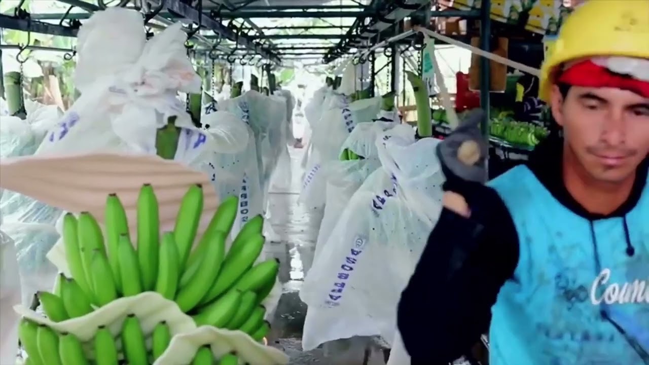 Conoce mas thumbnail