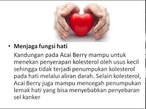 Atas celana pelangsing kontra Apakah Anda dapat menurunkan berat badan makan 1.200 kalori