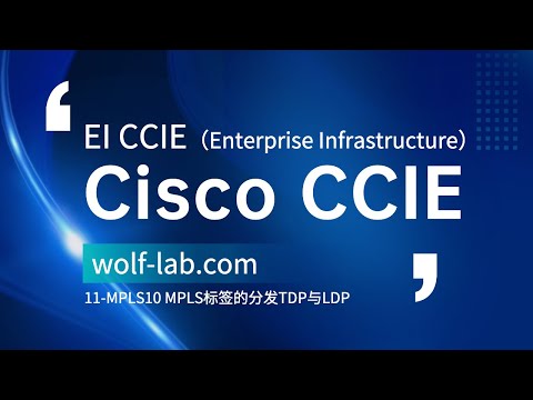 EI CCIE Enterprise Infrastructure 11-MPLS10 MPLS标签的分发TDP与LDP