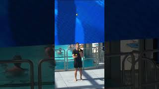 Behind the Magic ✨ | Illuminate Rehearsal in The Dome #cruiseship #starprincess  #travel