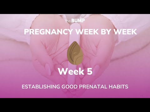 This week in Babyland (week 5)