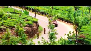 Download lagu China express movie songs mp3