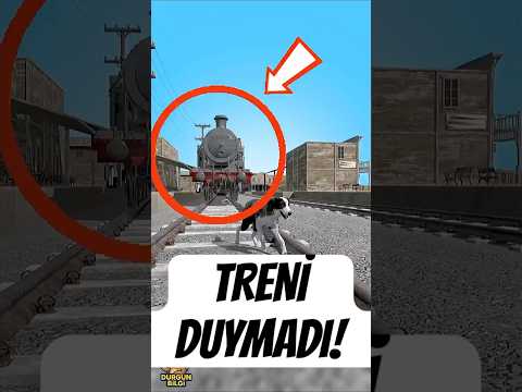 Köpek 6 Yıl Sahibini Bekledi😢