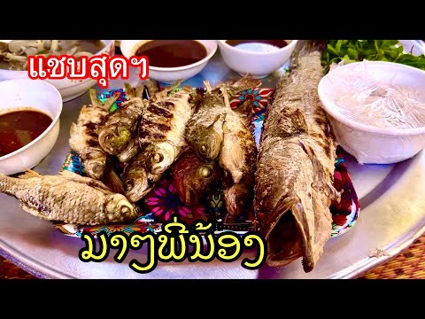 ມື້ນີ້ຫມານໆ ເພິ່ນວ່າ มาฯ พี่น้องกินพันปลาค่อใหญ่